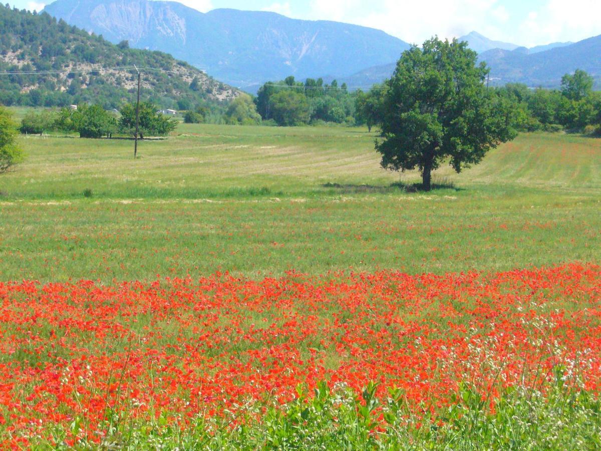 Suite Familiale De Charme En Provence Mirabeau  Esterno foto